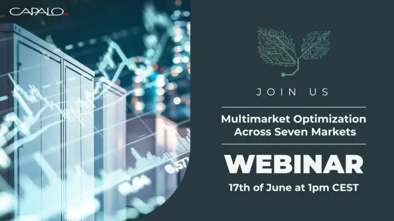 Join us for an online event where we'll explore how a BESS fully captures value across all seven Nordic markets